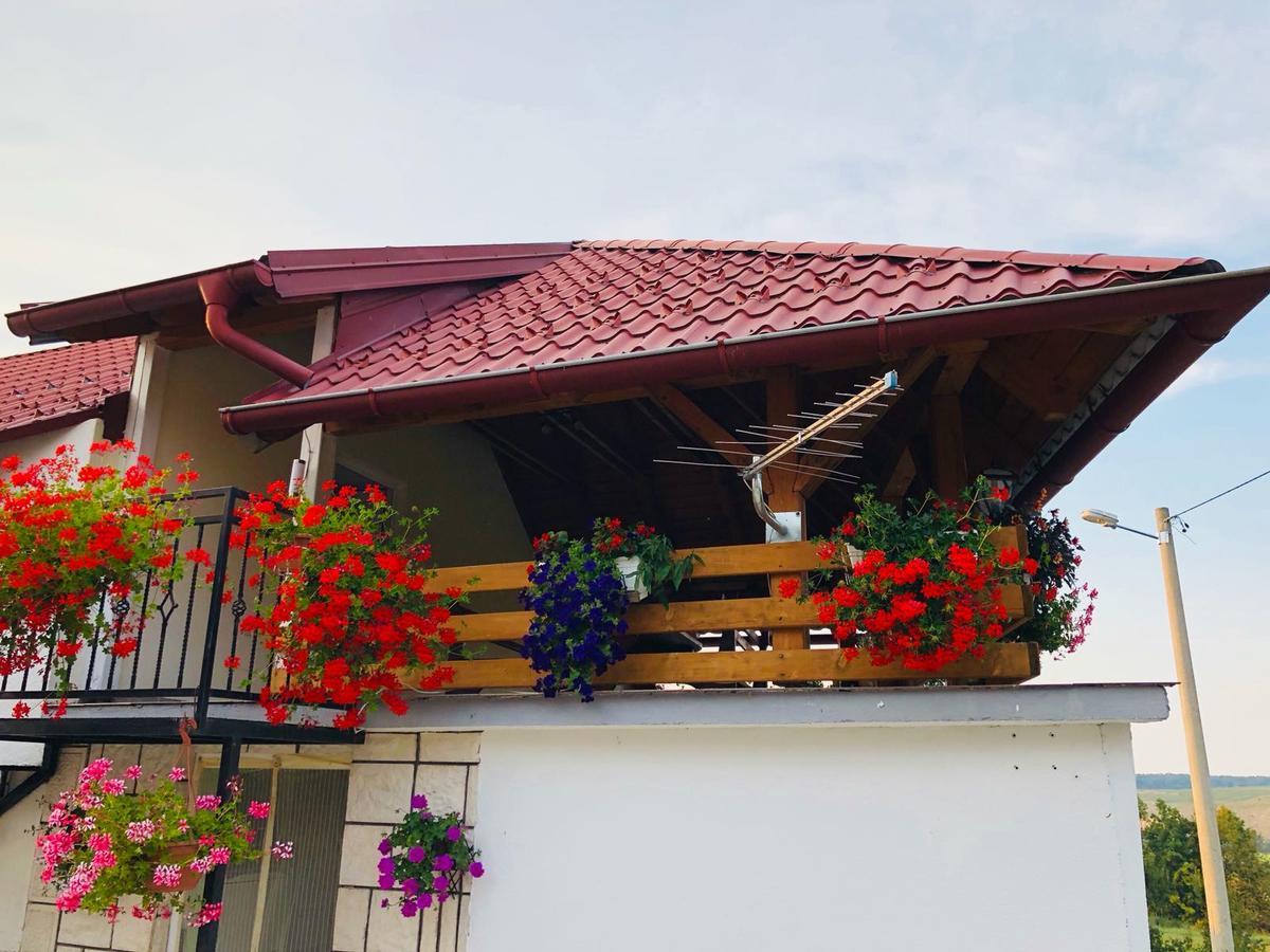Apartment Jakovljevic Gornji Vaganac Luaran gambar